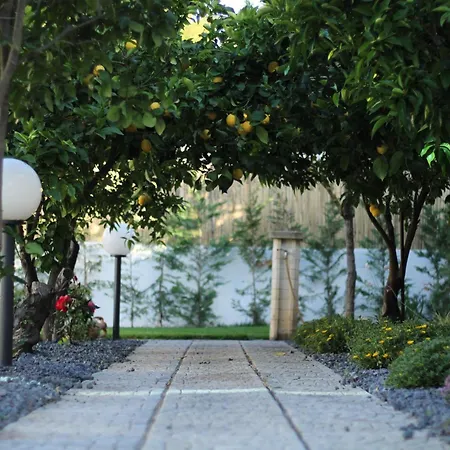 Apartment La Rosa Dei Templi Agrigent