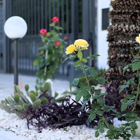 La Rosa Dei Templi Apartment Agrigent