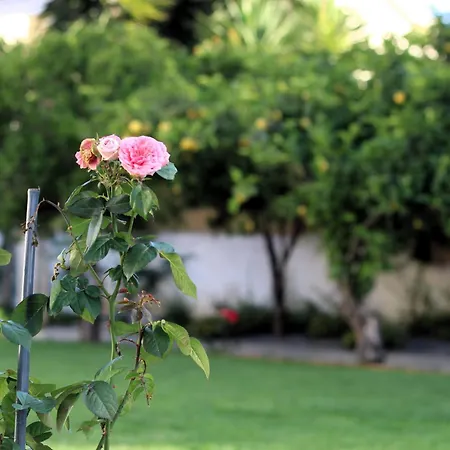 La Rosa Dei Templi Apartamento