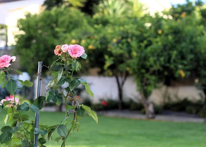 La Rosa Dei Templi Apartamento