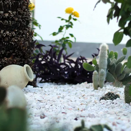 La Rosa Dei Templi * Agrigente